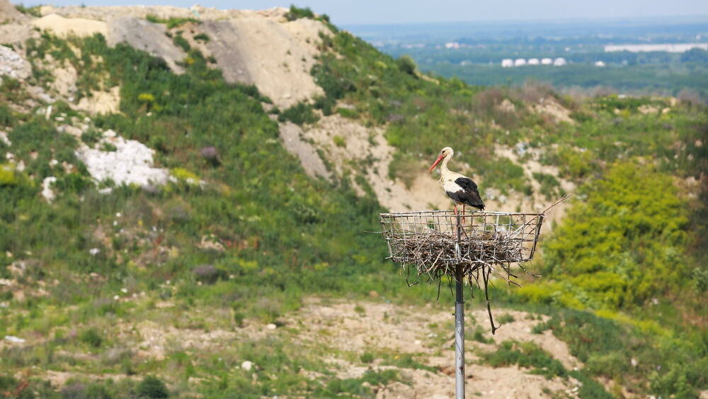 Construction site works - Uphil Platform Stork - 4 June 2021